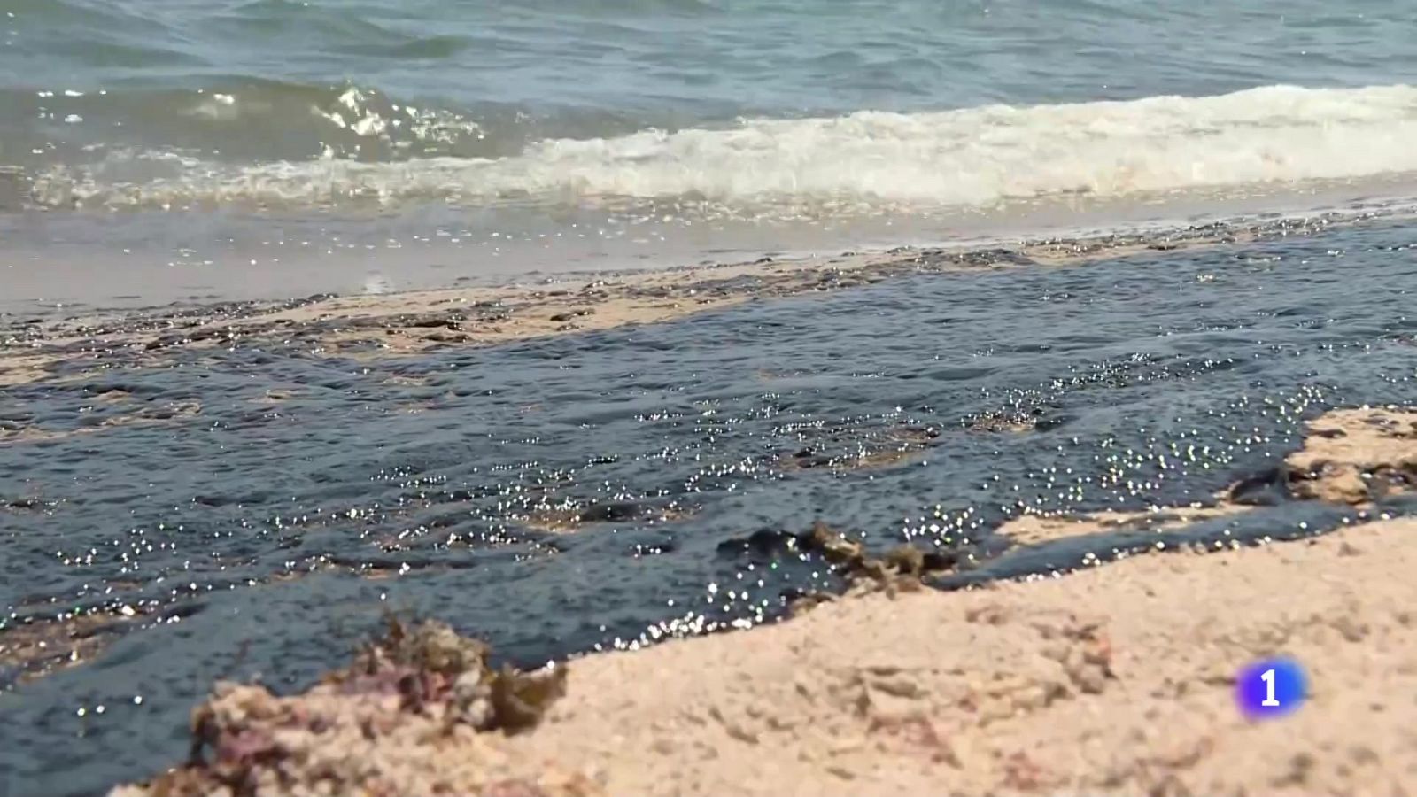 L'Informatiu de la Comunitat Valenciana 1 - 16/07/24 | Ver