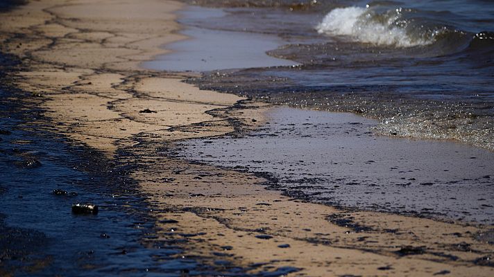 Informativo 24h - Informativo 24 horas - 20h - 16/07/24