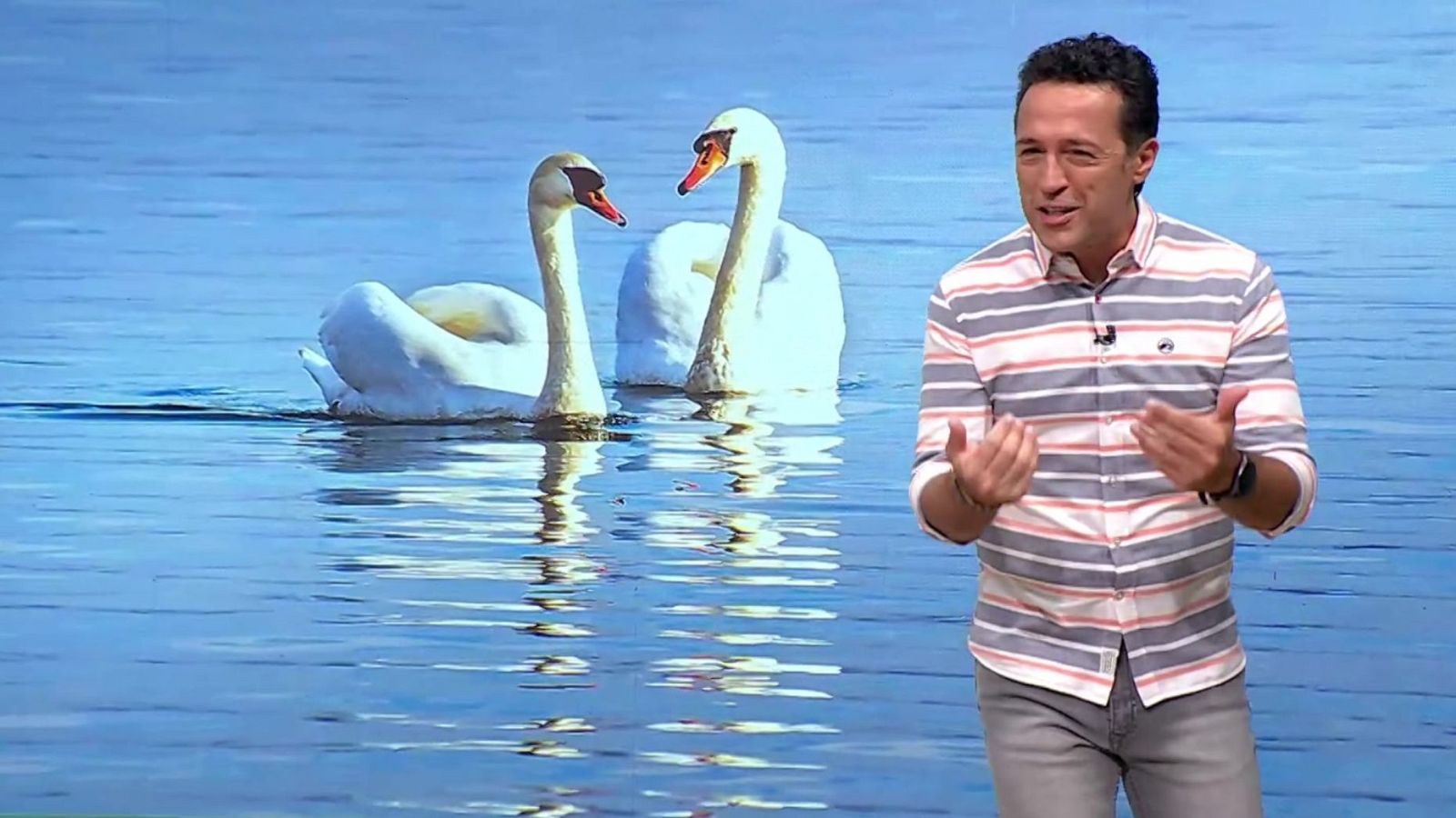 Aquí la Tierra - 17/07/24 - ver ahora