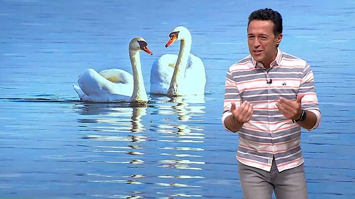 Aquí la Tierra - Aquí la Tierra - 17/07/24