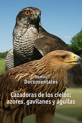 Som Documentals - Caçadors del cel: astors, aligots i àguiles