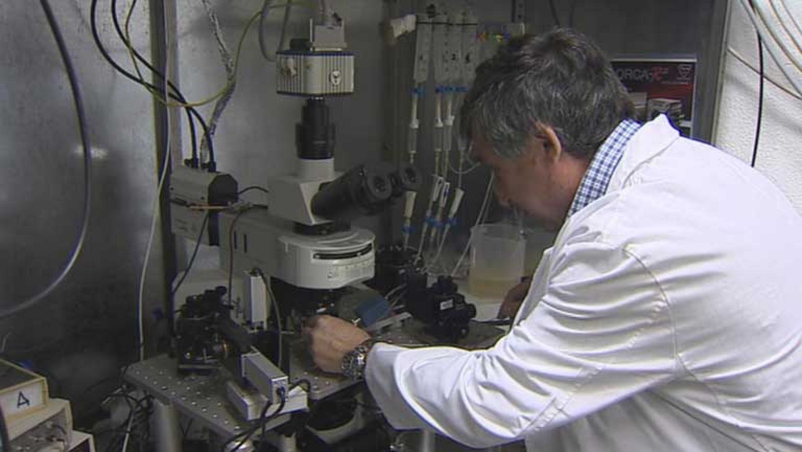 Los científicos salen a la calle en varias comunidades