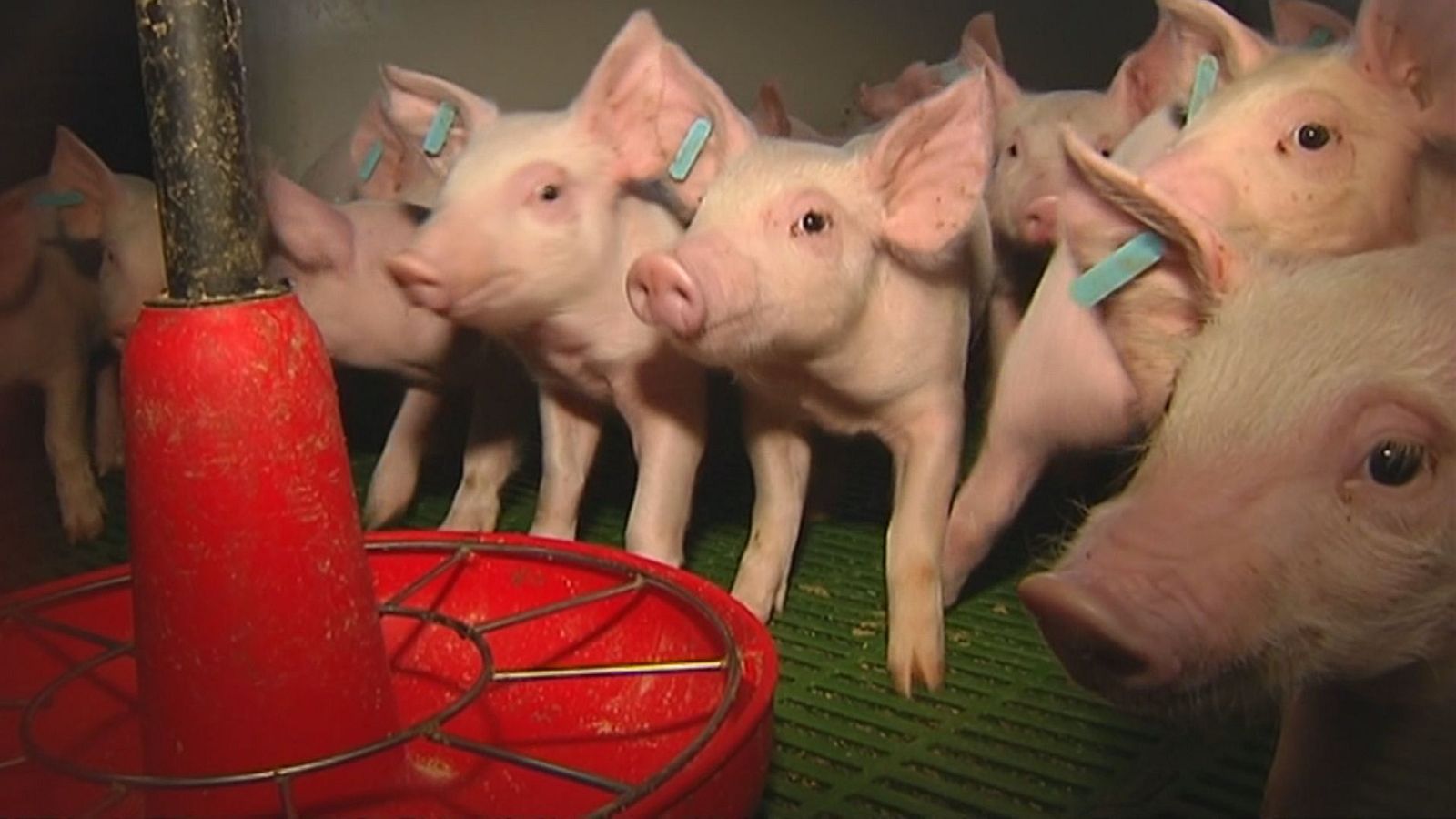 Agrosfera - 20/07/24 - ver ahora