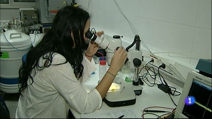 Noticias Aragón - Noticias Aragón - 19/12/12