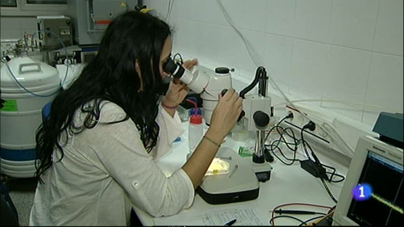 Noticias Aragón - 19/12/12 | Ver