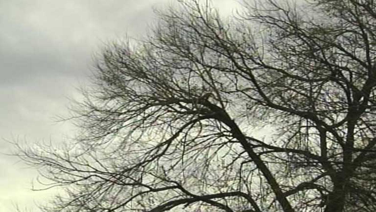 Rachas de viento fuerte y lluvias en Galicia
