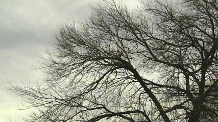 El tiempo - Lluvias y viento fuerte en Galicia