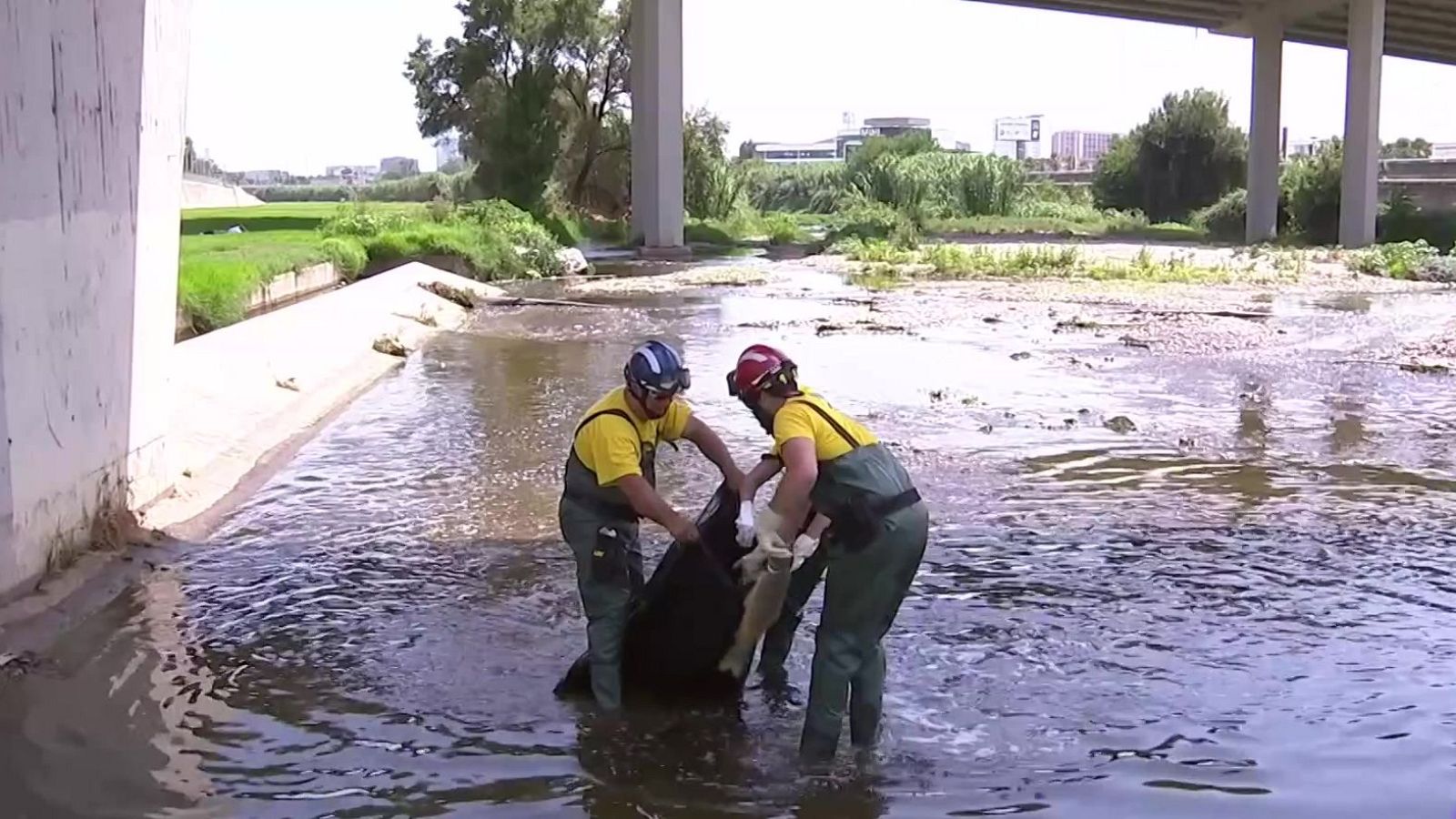 L'incendi a Polinyà contamina 11 km del riu Besòs - L'Informatiu | Veure