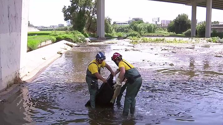 L'Informatiu - L'incendi a Polinyà contamina 11 km del riu Besòs