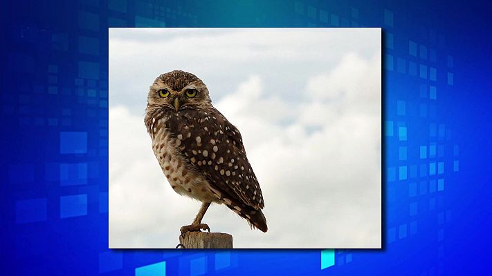 Saber y ganar - Saber y ganar. Edición de fin de semana - 21/07/24