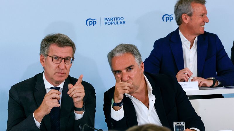 Feijóo, tras la citación a declarar como testigo de Sánchez: "Solo le queda una salida honorable" - Diario 24 | Ver