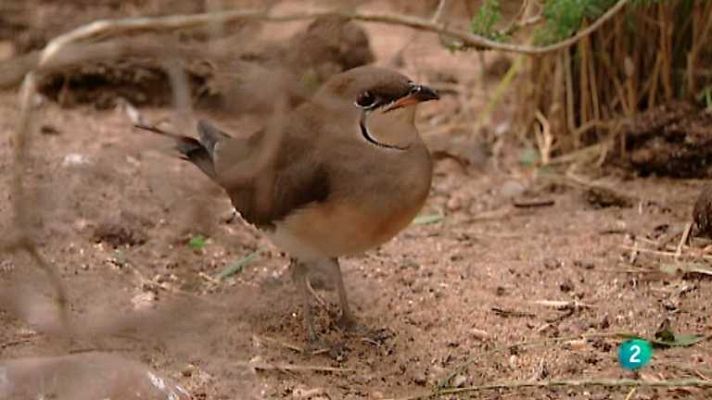 Biodiario - Biodiario - 19/12/12