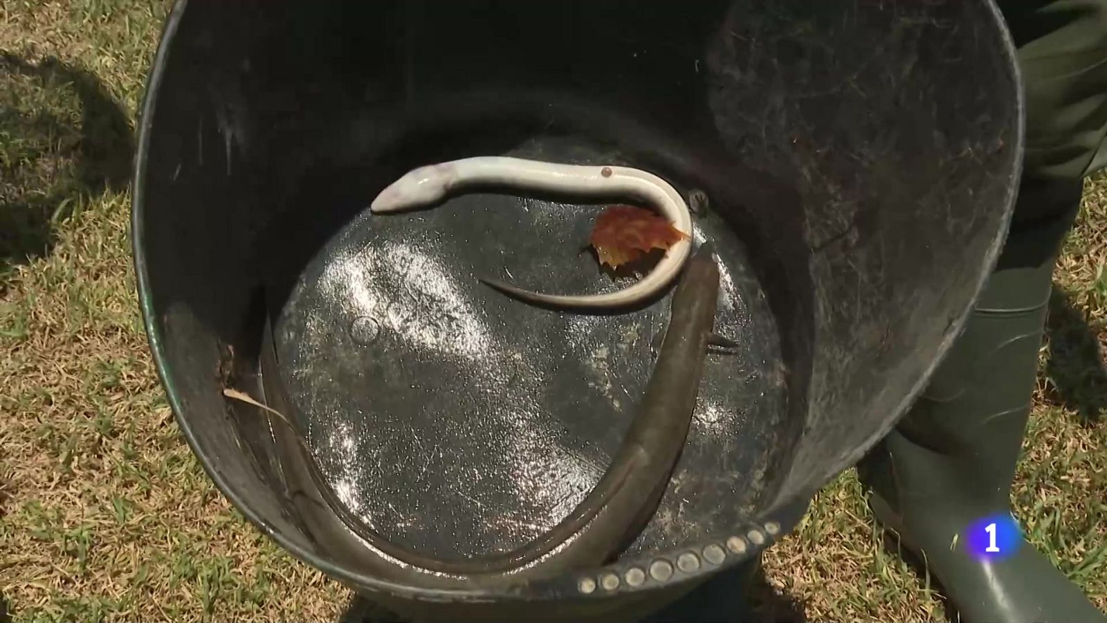 L'Informatiu 2 - 22/07/2024 - L'Informatiu | Veure