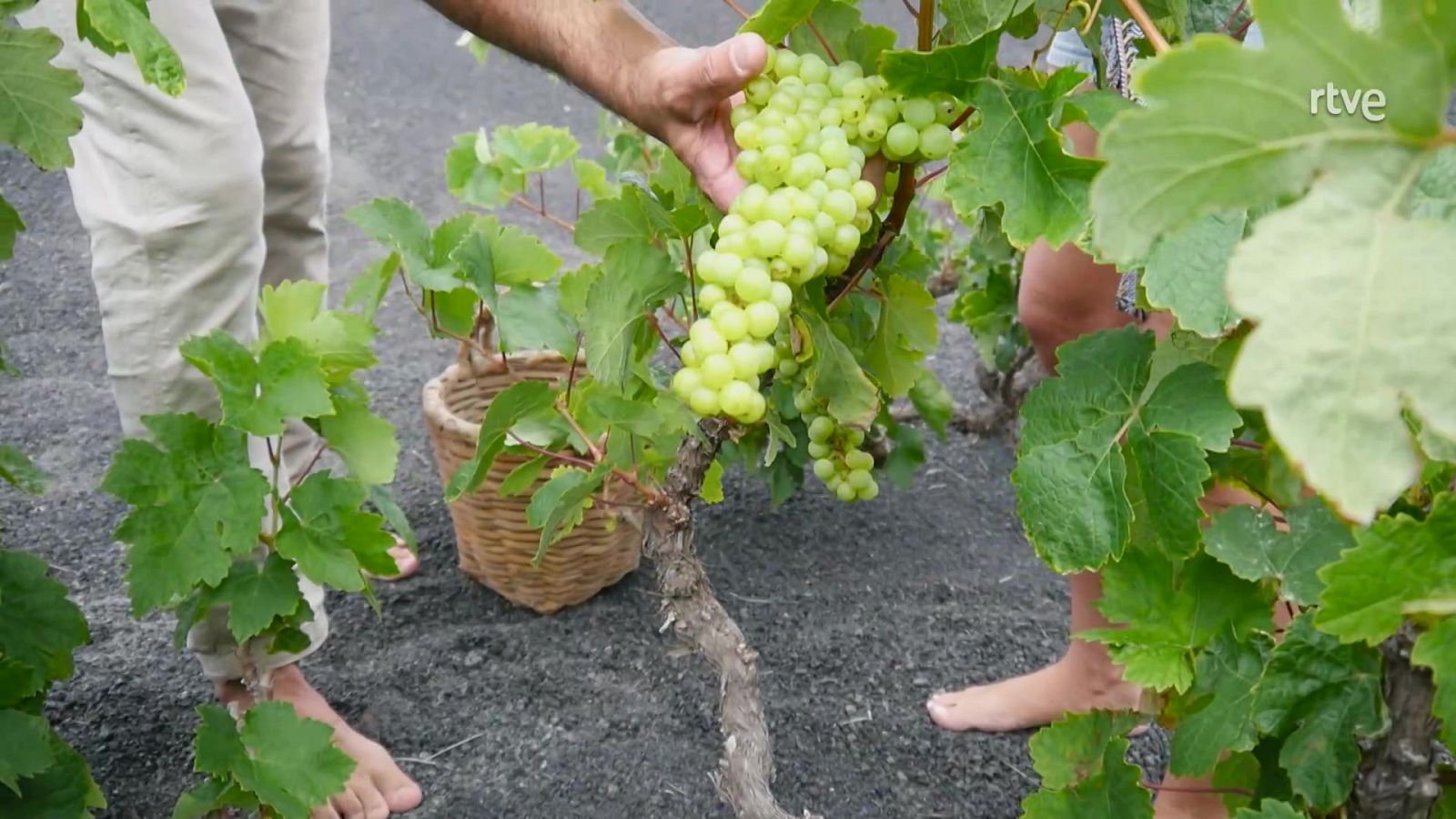 Aquí la Tierra - 22/07/24 - ver ahora