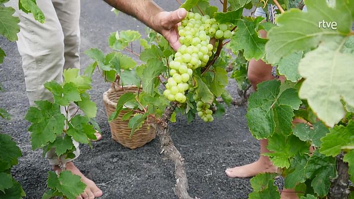 Aquí la Tierra - Aquí la Tierra - 22/07/24