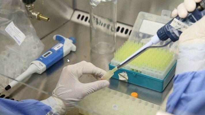 Telediario 1 - Las enfermedades tropicales repuntan en España con nuevos casos de Crimea-Congo y virus del Nilo