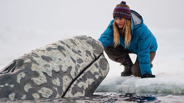 Cine internacional - Una aventura extraordinaria