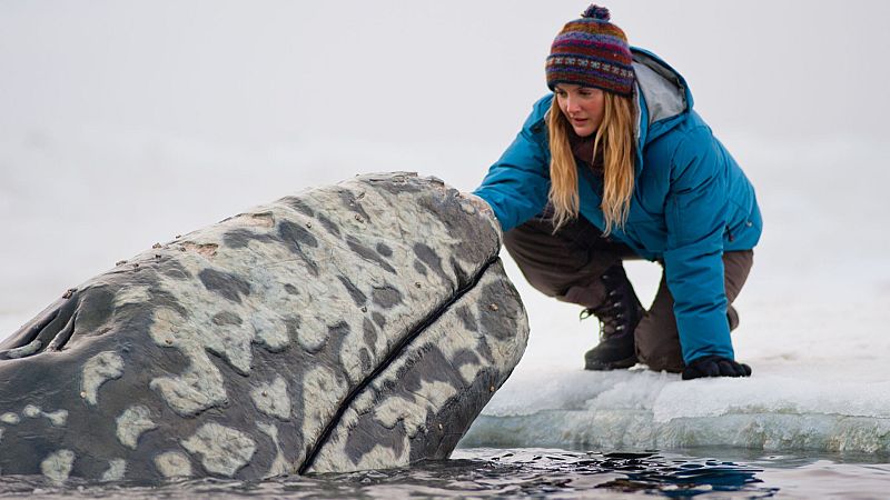 La gran familia - Cine - Una aventura extraordinaria - Ver ahora