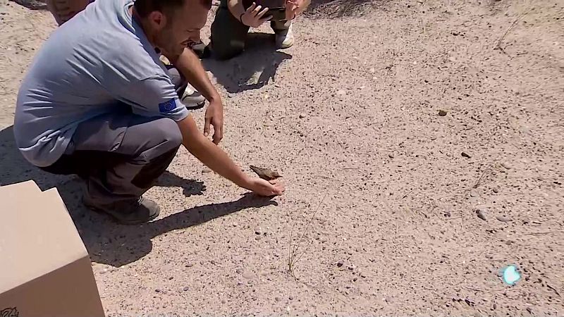 L'Informatiu de la Comunitat Valenciana 1 - 24/07/24 | Ver