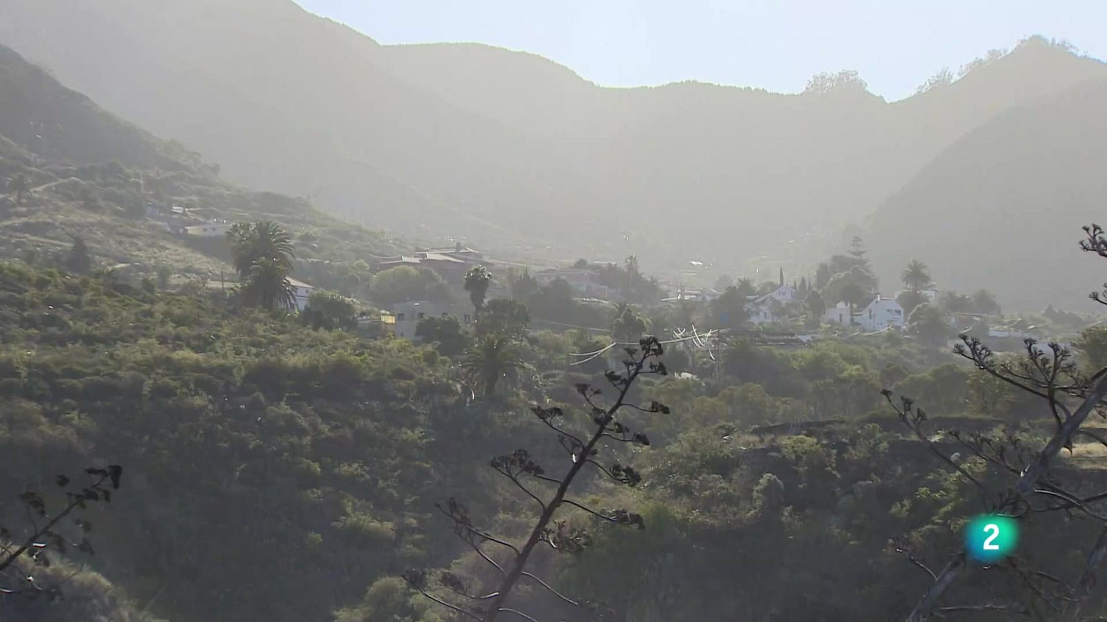 Telecanarias 2 - 24/07/2024 | Ver