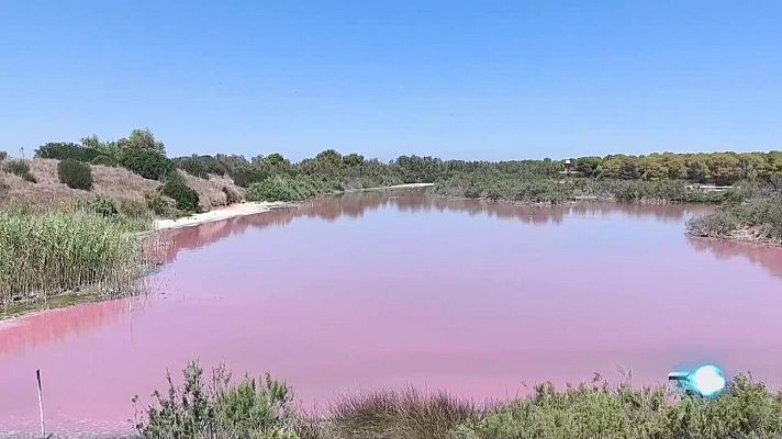 L'informatiu - Comunitat Valenciana - L'Informatiu de la Comunitat Valenciana 1 - 25/07/24