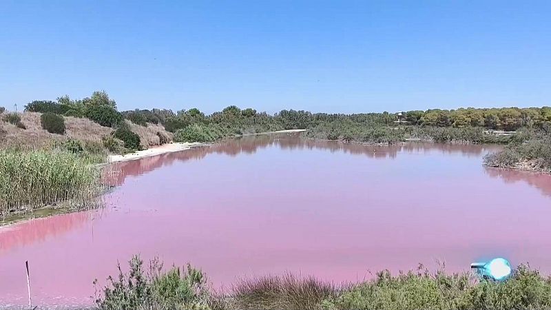 L'Informatiu de la Comunitat Valenciana 1 - 25/07/24 | Ver