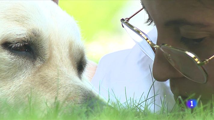 L'Informatiu - Programa pilot de teràpia assistida amb gossos i pacients neurològics adults