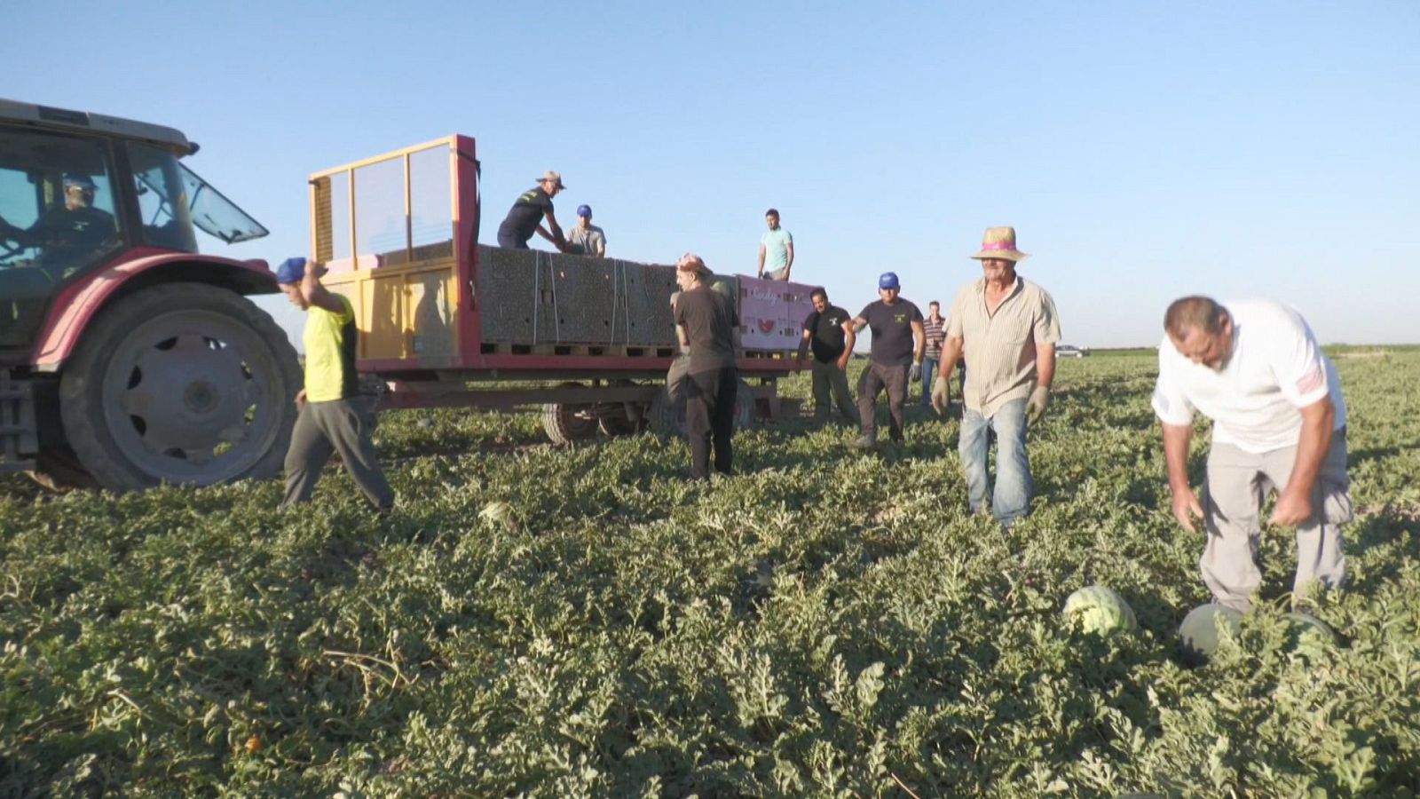 Agrosfera - 27/07/24 - ver ahora