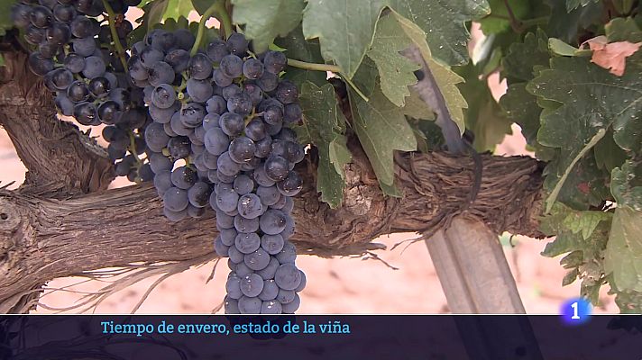 Informativo Telerioja - Informativo Telerioja - 30-07-2024