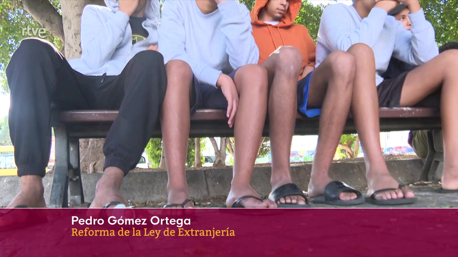 Reforma Ley de Extranjería | Ver