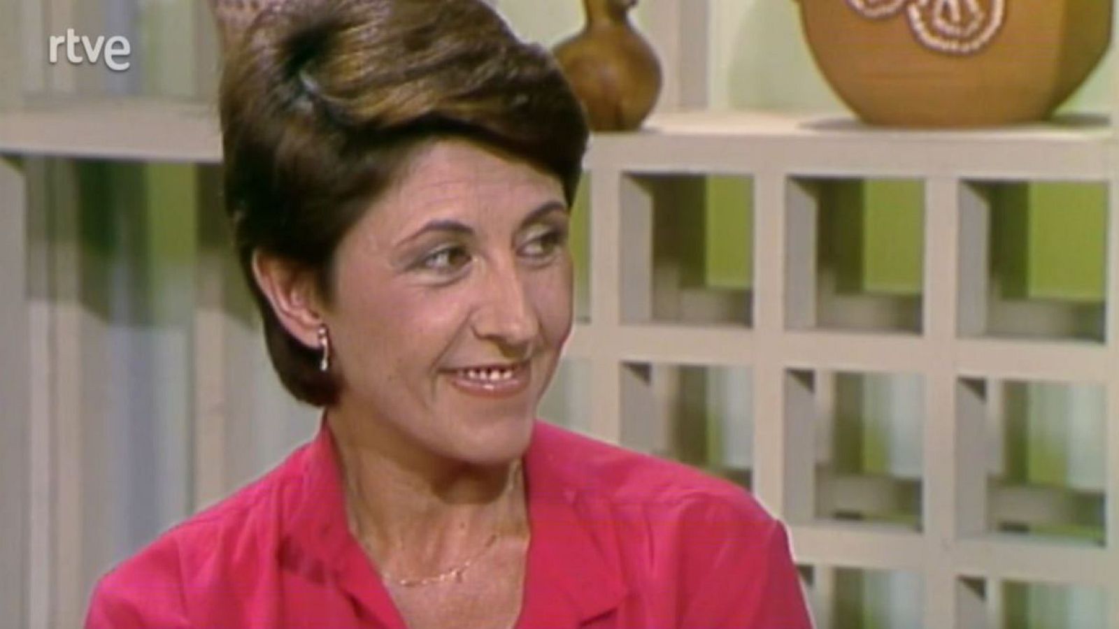 Enriqueta Linares contra l'abandonament de gossos - Tot i més - Arxiu TVE Catalunya | Veure