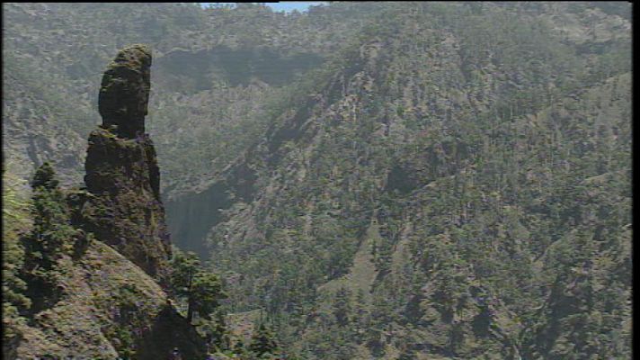 Telecanarias - Telecanarias - 20/12/12