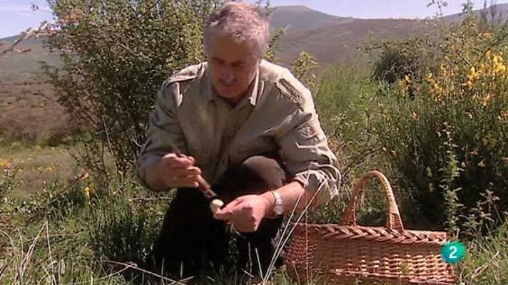 Biodiario - Biodiario - 20/12/12