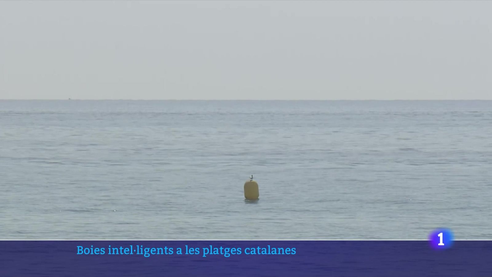 Prova pilot amb boies intel·ligents al mar - L'Informatiu | Veure