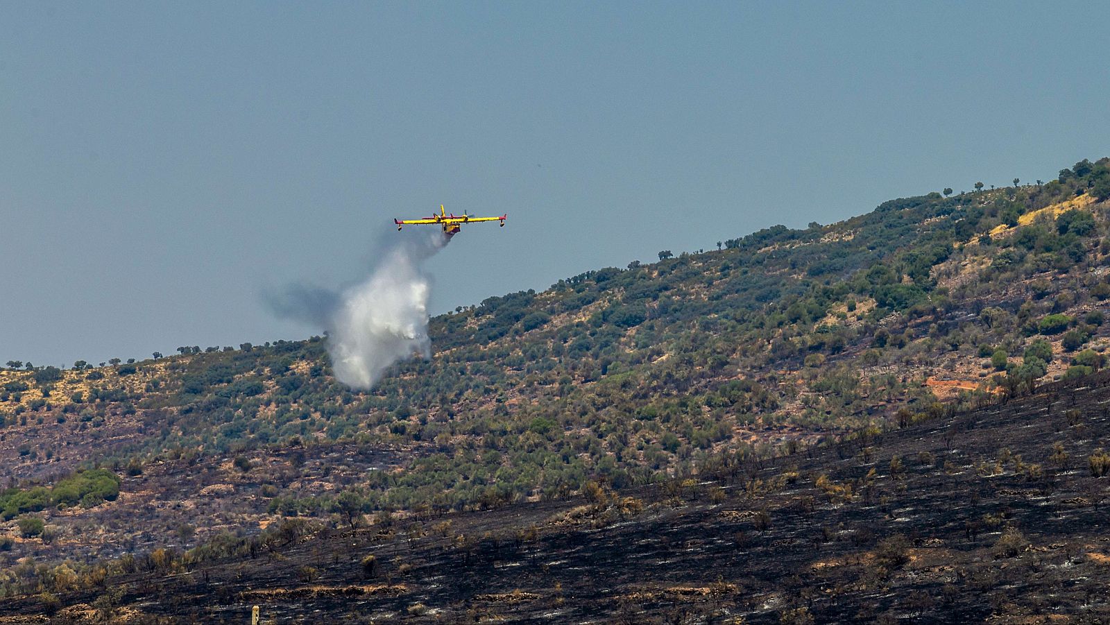 El incendio de La Estrella (Toledo) evoluciona favorablemente | Ver