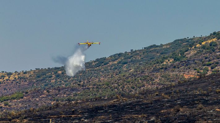 Telediario 1 - El incendio de La Estrella (Toledo) evoluciona favorablemente
