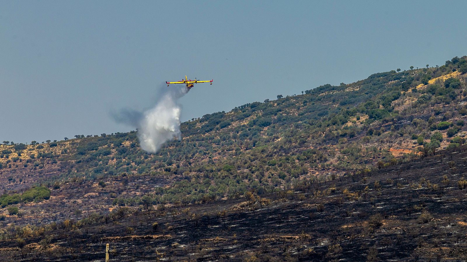 Informativo 24 horas - 20h - 07/08/24 - ver ahora