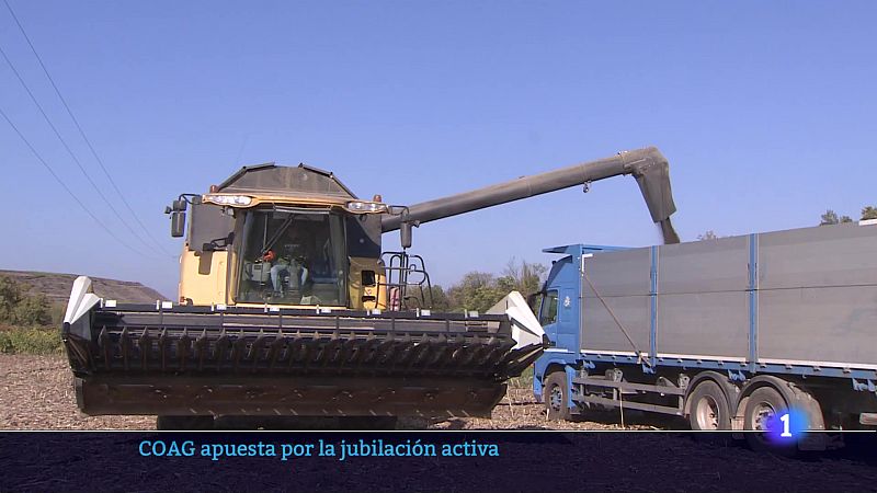 Informativo Telerioja  - 08/08/24 - Ver ahora | Ver