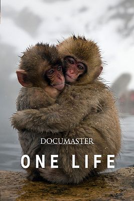 Somos Documentales - One life