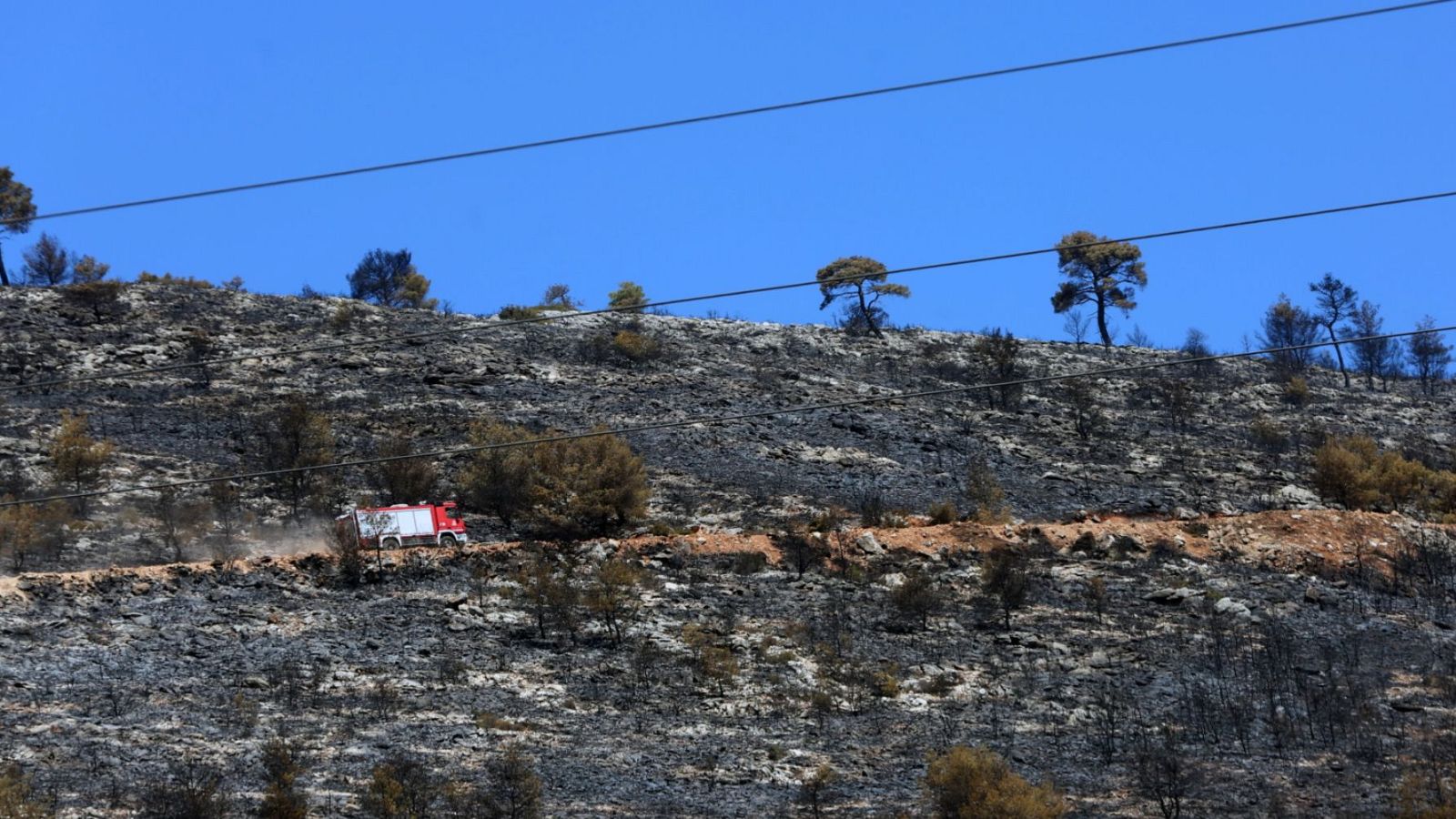 Informativo 24 horas - 14h - 13/08/24 - ver ahora