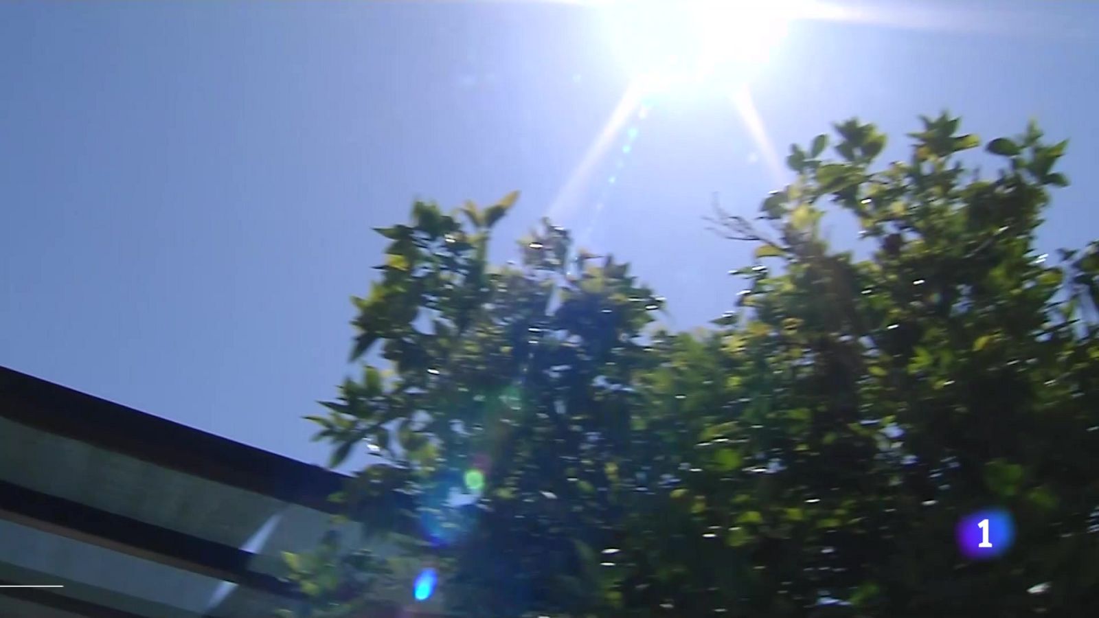 L'Informatiu de la Comunitat Valenciana 1 - 13/08/24 | Ver