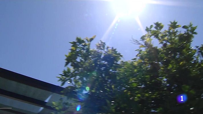 L'informatiu - Comunitat Valenciana - L'Informatiu de la Comunitat Valenciana 1 - 13/08/24