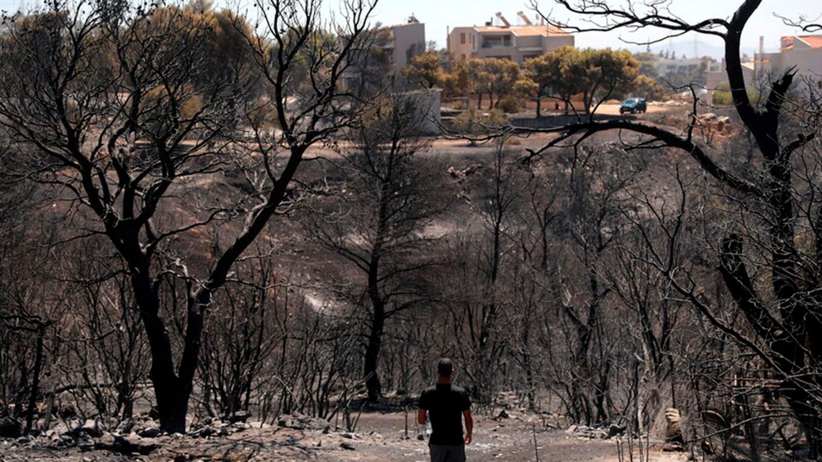 Telediario 1 en cuatro minutos - 13/08/24 – RTVE.es | Ver
