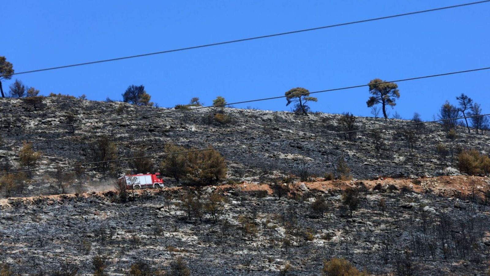 Telediario - 15 horas - 13/08/24 - ver ahora