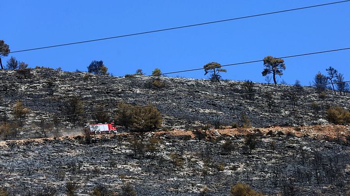 Telediario en lengua de signos - Telediario - 15 horas - 13/08/24 - Lengua de signos