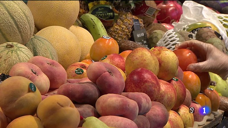 Telecanarias - 13/08/2024 | Ver