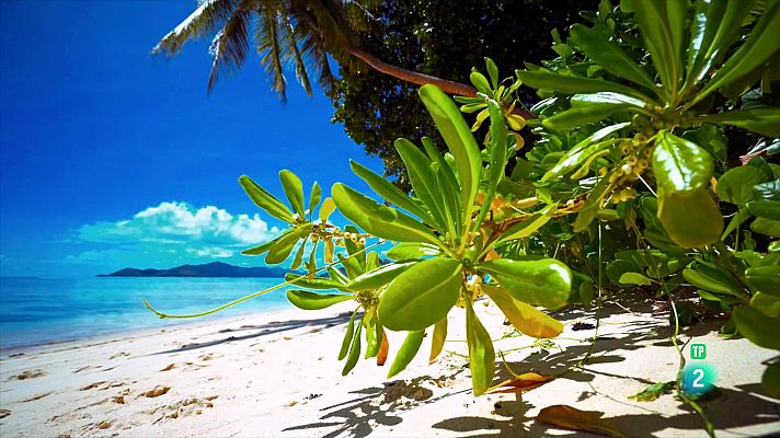 Som Documentals - El salvatge m��n de Magalhaes