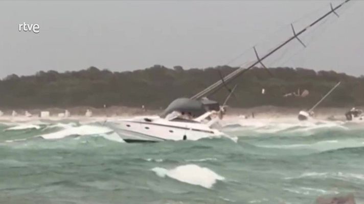 Informativo 24h - Informativo 24 horas - 20h - 14/08/24