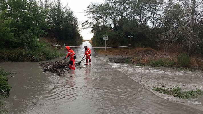 Telediario 1 - Telediario - 15 horas - 15/08/24