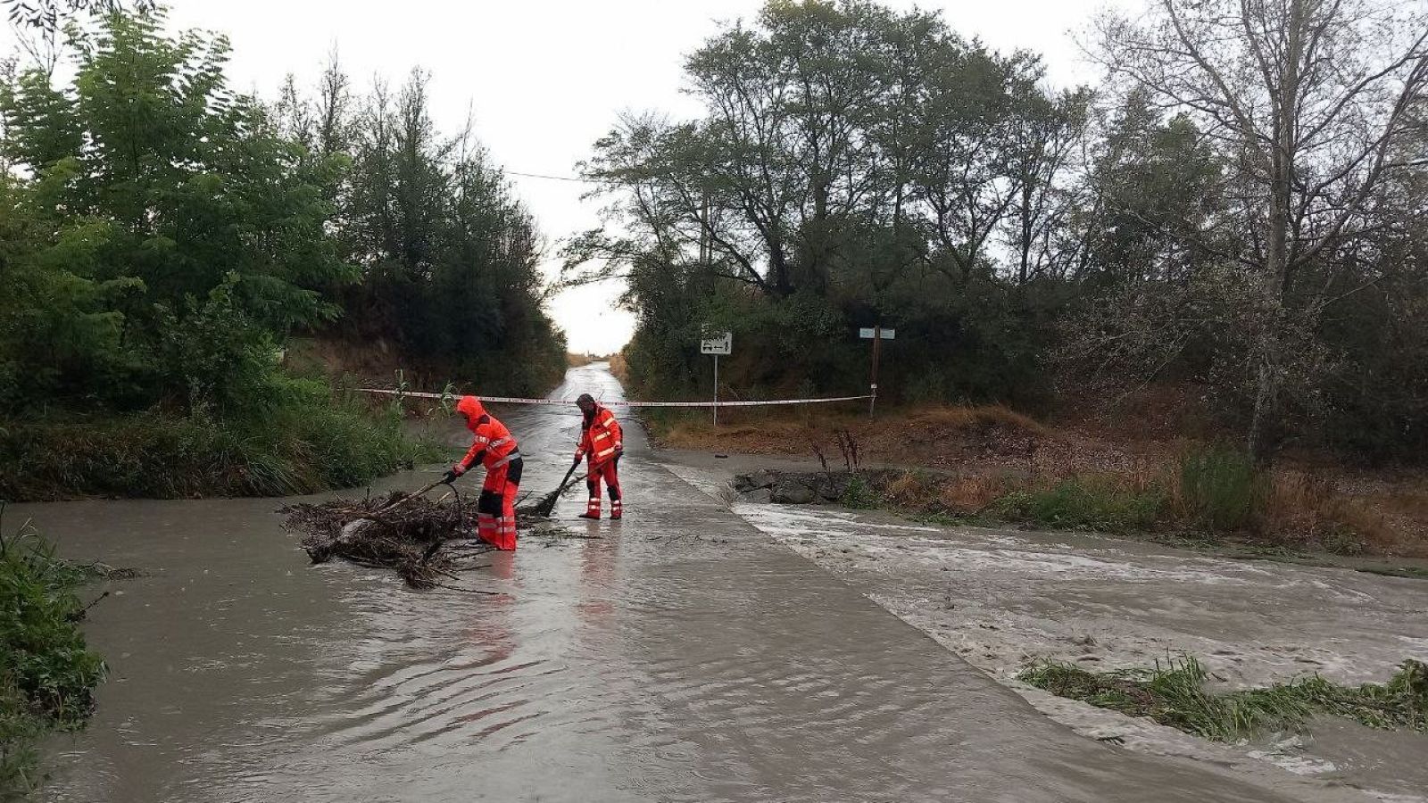 Telediario - 21 horas - 15/08/24 - Lengua de signos - ver ahora
